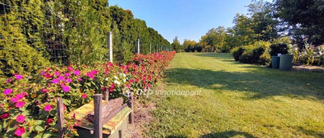 Eladó mezogazdasagi ingatlan, Töltéstaván 38 M Ft