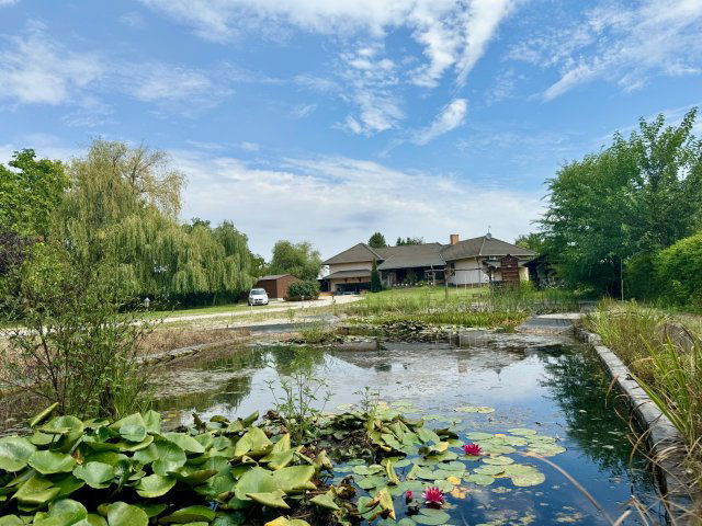 Eladó családi ház, Kecskeméten 169 M Ft, 4 szobás