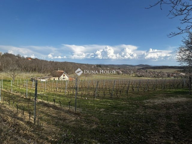 Eladó telek, Pécselyen 79 M Ft / költözzbe.hu