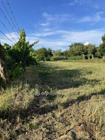 Eladó telek, Vaszaron 1.5 M Ft / költözzbe.hu