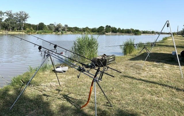 Eladó mezogazdasagi ingatlan, Szegeden 135 M Ft