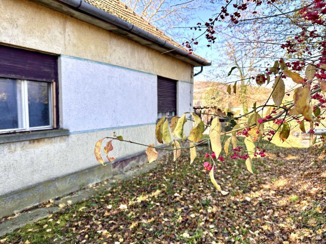 Eladó családi ház, Nemeshetésen 12 M Ft, 2 szobás