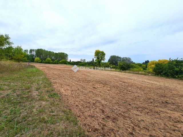 Eladó telek, Tápiószecsőn 5.9 M Ft / költözzbe.hu