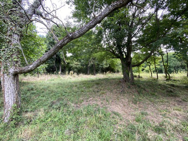 Eladó nyaraló, Zalaszántón 25 M Ft, 2 szobás