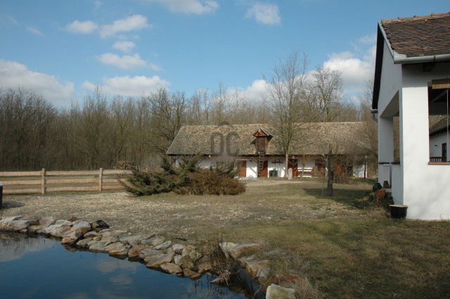 Eladó családi ház, Mikebudán 129 M Ft, 8 szobás