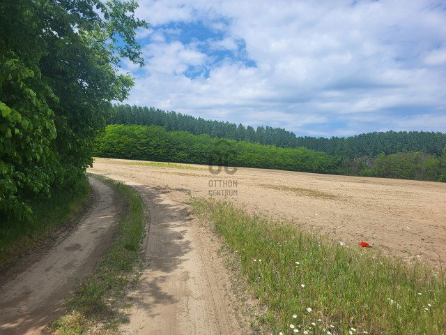 Eladó mezogazdasagi ingatlan, Pilisen 7.5 M Ft