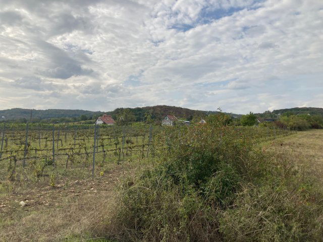 Eladó telek, Vászolyon 45 M Ft / költözzbe.hu