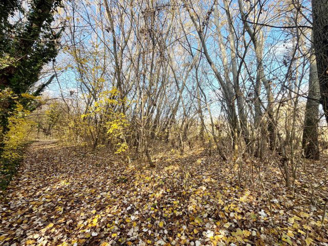 Eladó telek, Dömsödön 11.6 M Ft / költözzbe.hu