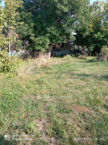 Eladó telek, Sárszentmihályon 44 M Ft / költözzbe.hu