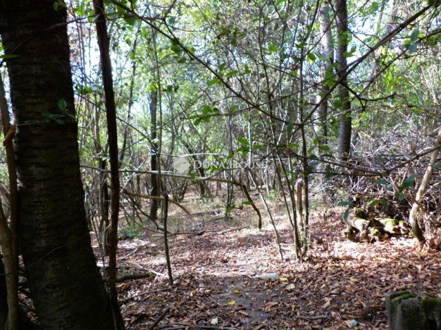 Eladó telek, Sukorón 8.9 M Ft / költözzbe.hu