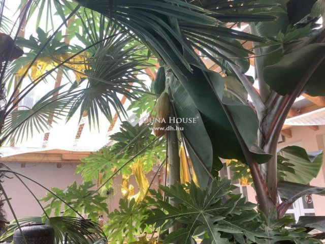 Eladó családi ház, Budajenőn 950 M Ft, 5 szobás