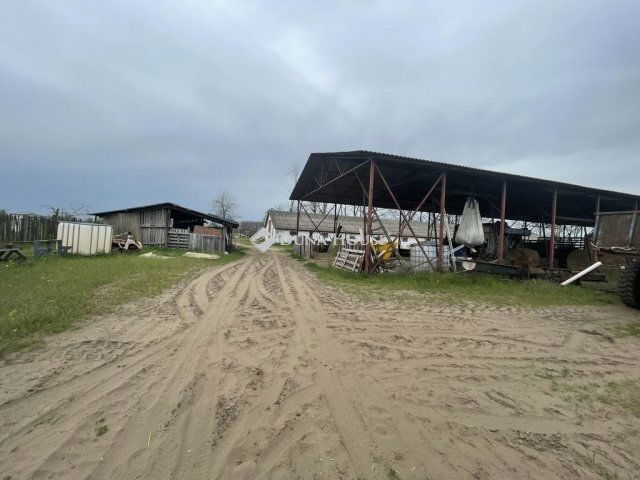 Eladó mezogazdasagi ingatlan, Domaszéken 160 M Ft