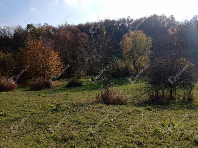 Eladó telek, Zalaegerszegen 0.75 M Ft / költözzbe.hu