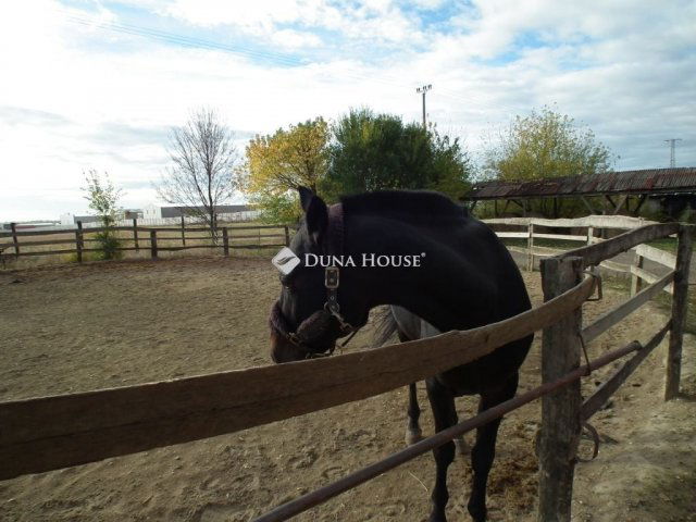 Eladó mezogazdasagi ingatlan, Nagytarcsán 99 M Ft, 1 szobás