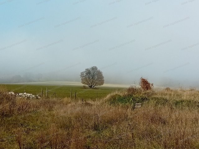 Eladó üzlethelyiség, Füzéren 155 M Ft, 7 szobás