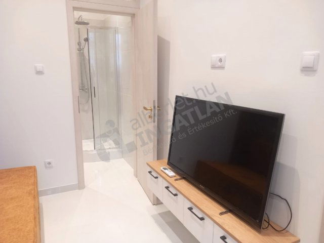 Kiadó téglalakás, albérlet, VI. kerületben, Teréz körúton