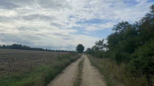 Eladó telek, Vitnyéden 138 M Ft / költözzbe.hu