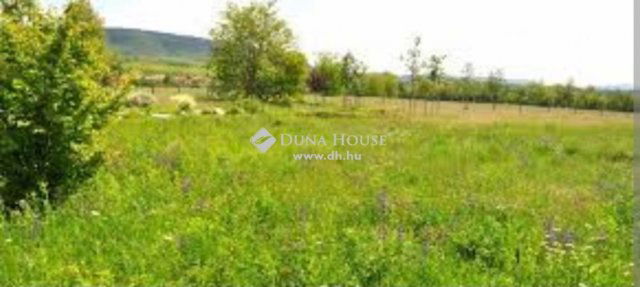 Eladó telek, Regenyén 3.5 M Ft / költözzbe.hu