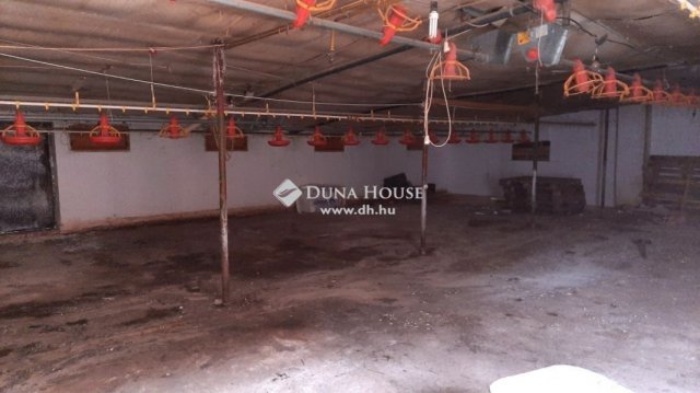 Eladó ipari ingatlan, Nyáregyházán 310 M Ft