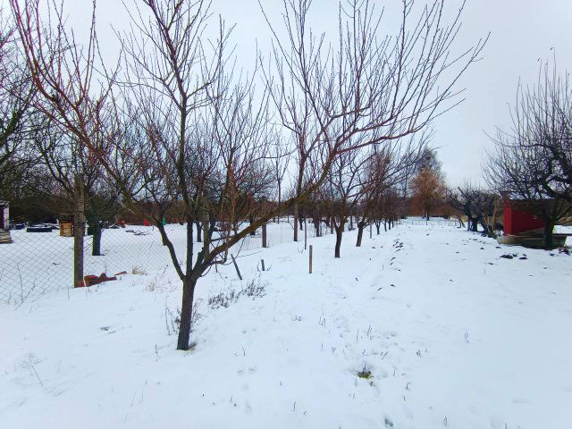 Eladó mezogazdasagi ingatlan, Sárospatakon 2.5 M Ft