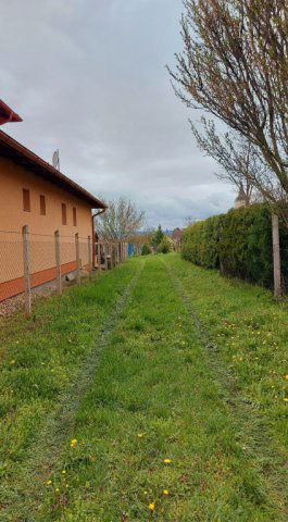 Eladó telek, Zamárdiban 75 M Ft / költözzbe.hu