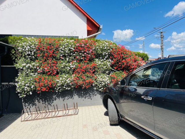 Eladó családi ház, Látrányon 24.911 M Ft, 2 szobás
