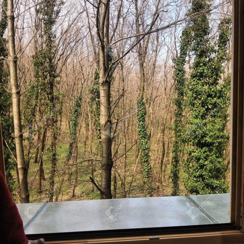 Eladó családi ház, Sopronban 175 M Ft, 5 szobás