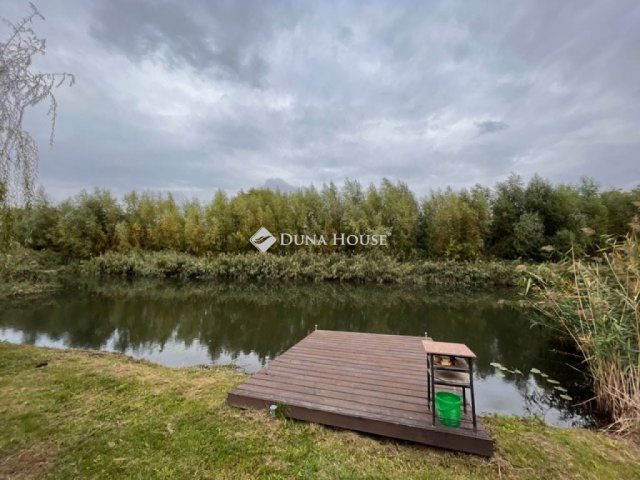 Eladó családi ház, Dunatetétlenen 37 M Ft, 2 szobás