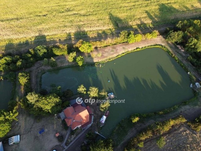 Eladó nyaraló, Bakonyán 300 M Ft, 5 szobás
