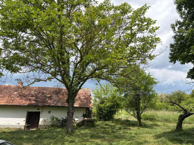 Eladó mezogazdasagi ingatlan, Somogyzsitfán 9.99 M Ft, 2 szobás