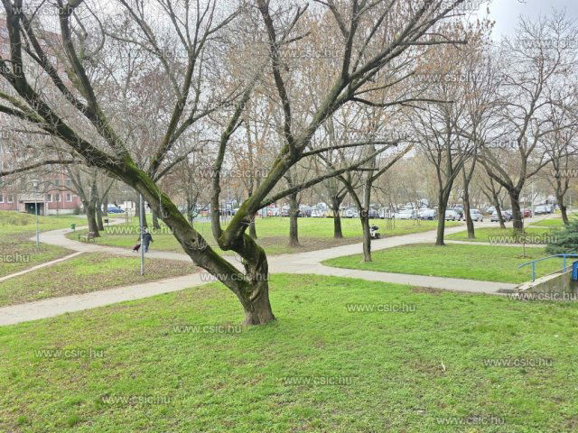 Eladó téglalakás, Budapesten, III. kerületben 71.2 M Ft