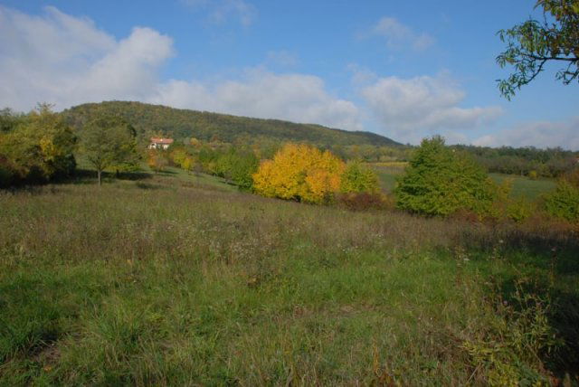 Eladó mezogazdasagi ingatlan, Köveskálon 34.9 M Ft