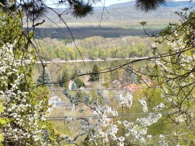 Eladó nyaraló, Dunabogdányban 22.9 M Ft, 1 szobás