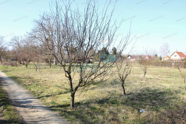 Eladó mezogazdasagi ingatlan, Győrött 10.9 M Ft