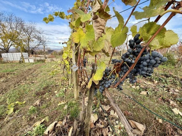 Eladó telek, Keszün 9.9 M Ft / költözzbe.hu