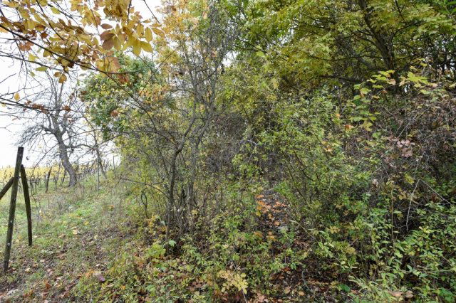 Eladó telek, Pécselyen 24.99 M Ft / költözzbe.hu