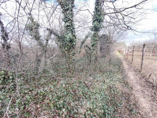 Eladó mezogazdasagi ingatlan, Szegeden 3.3 M Ft