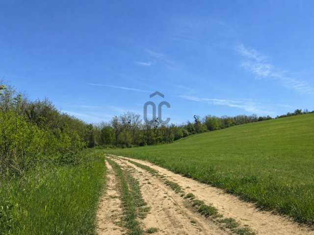 Eladó telek, Zalaszentgróton 1.9 M Ft / költözzbe.hu