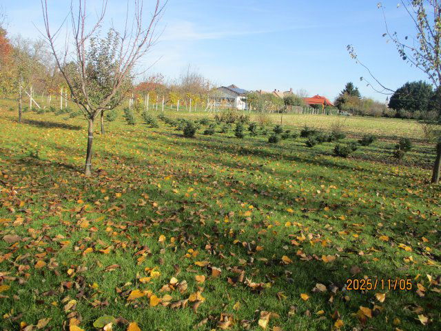 Eladó telek, Rábacsanakon 7.4 M Ft / költözzbe.hu