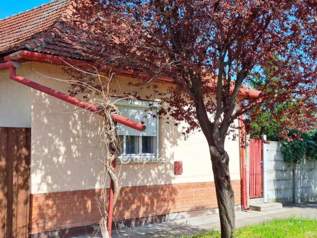 Eladó családi ház, Gyulán 28 M Ft, 3 szobás