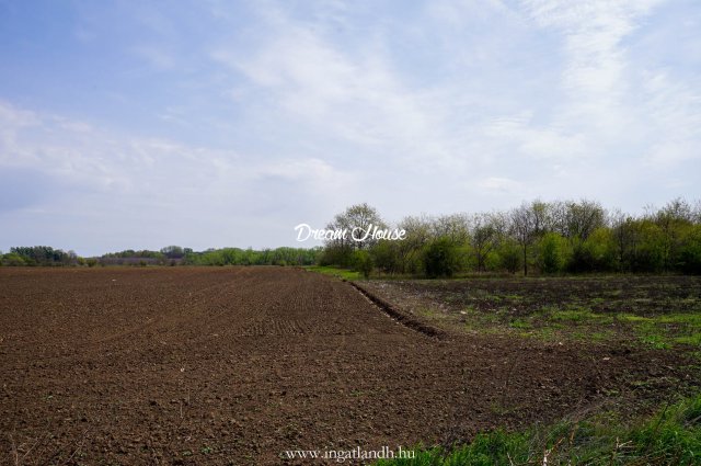 Eladó telek, Nyíregyházán 20.9 M Ft / költözzbe.hu