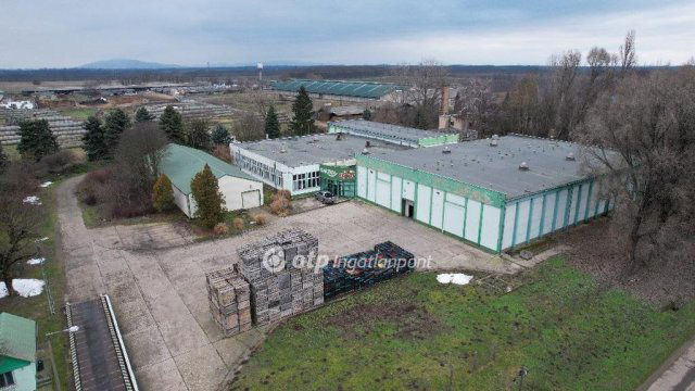 Eladó ipari ingatlan, Nyírtelken 290 M Ft / költözzbe.hu