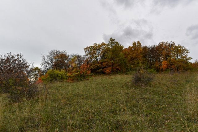 Eladó telek, Pécselyen 24.99 M Ft / költözzbe.hu