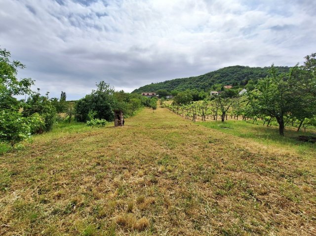 Eladó nyaraló, Somlószőlősön 6.5 M Ft, 1 szobás
