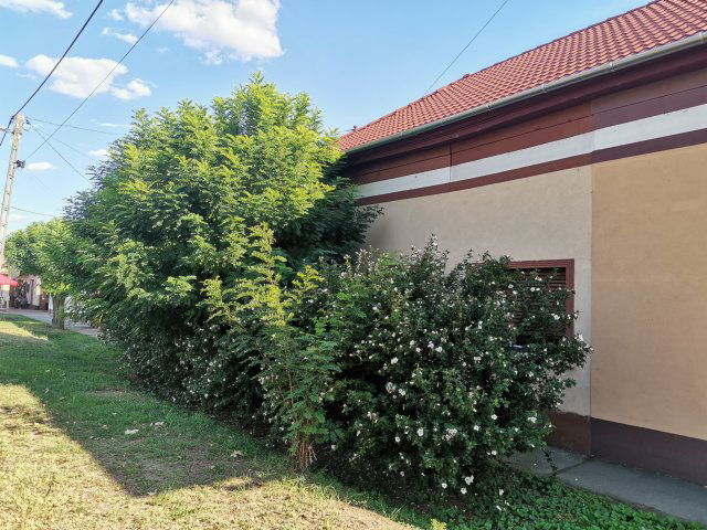 Eladó családi ház, Tiszakécskén 34.5 M Ft, 2+1 szobás