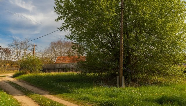 Eladó telek, Tápiószentmártonon 5 M Ft / költözzbe.hu