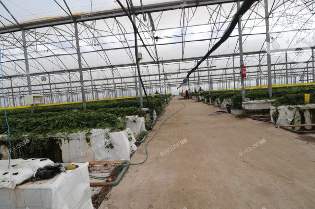 Eladó mezogazdasagi ingatlan, Kecskeméten 540 M Ft