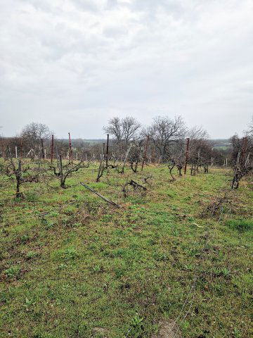 Eladó telek, Lepsényben 3.9 M Ft / költözzbe.hu