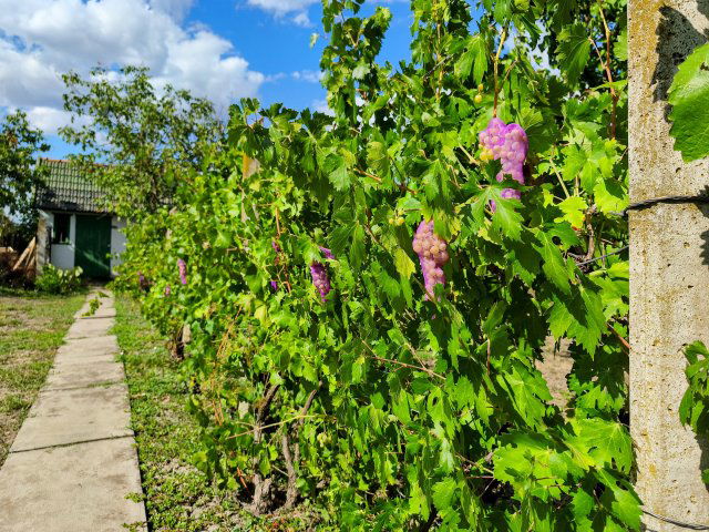 Eladó nyaraló, Békéscsabán 15.2 M Ft, 1+1 szobás