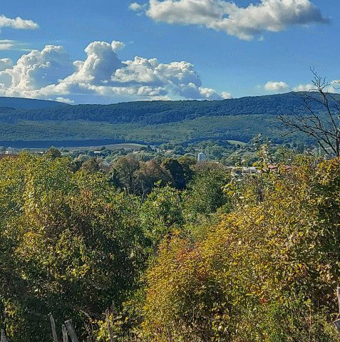 Eladó mezogazdasagi ingatlan, Héregen 31.1 M Ft, 1 szobás